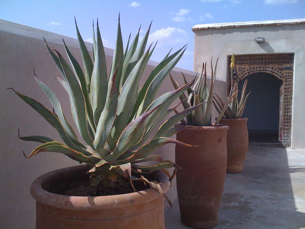 Riad Due Marrakesh Bagian luar foto